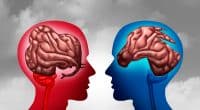 brain structure linked to left and right politics